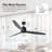 Akmani 60" Modern Black Ceiling Fan with Remote Control, Energy Efficient DC Ceiling Fan, Quiet High Airflow Solid Wood Blades-895604752