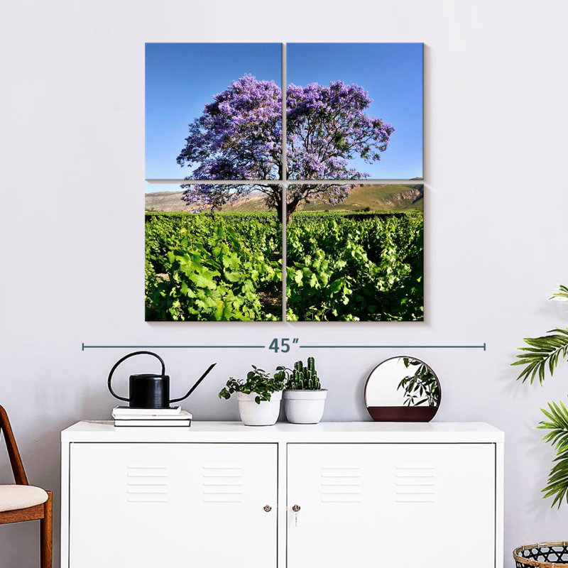 Harnek Jacaranda Tree