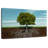 Harnek Apple Tree Roots-108913236