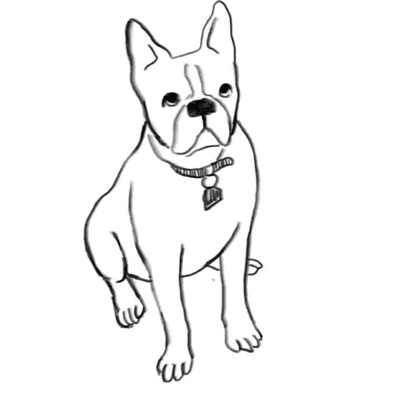 " Puppy Puppy " Painting Print, 12" H x 12" W