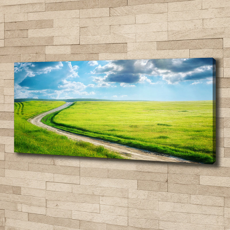 Path In The Meadow - Print, 50cm H x 125cm W x 2cm D, Canvas