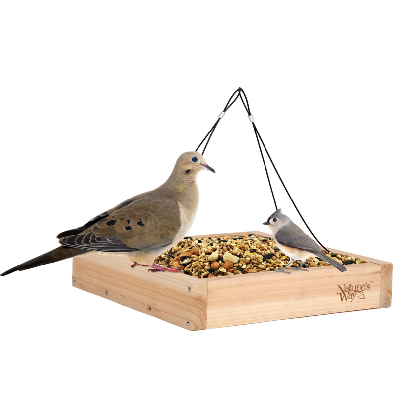 Cèdre - Plateau mangeoire pour oiseaux