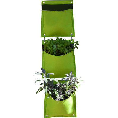 LosPalmos Wall Planter