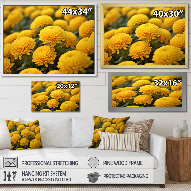«Yellow Mums in Bloom I» sur toile, H 34 po x l 44 po x P 1,5 po, Cadre flottant doré