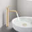 Single Handle Bathroom Modern Tall Faucets-102042506