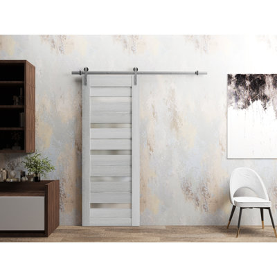 Porte de grange robuste en verre dépoli Quadro 4445, chêne gris pâle, rail de 2 m (6,6 pi), quincaillerie robuste, porte intérieure à panneau plein, 61 cm x 244 cm (24 po x 96 po), rail argenté.