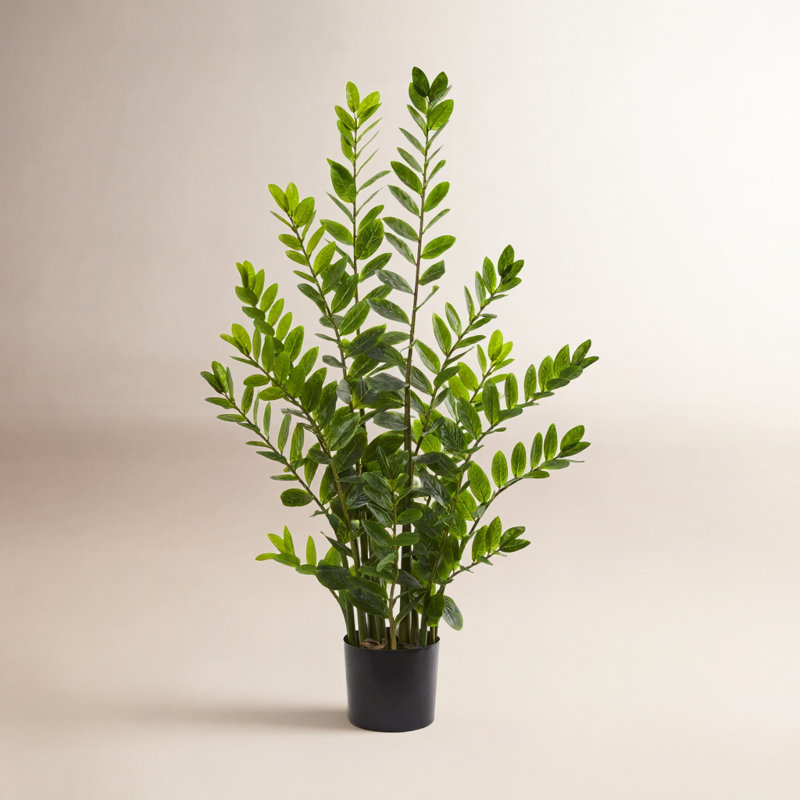 Damali Zamioculcas artificiel en pot, H 48 po x l 28 po x P 14 po