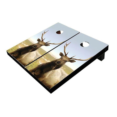 Planches cornhole 2 pi x 3 pi