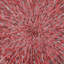 Crimson Burst