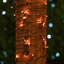 50 guirlandes lumineuses à DEL-2071348952