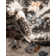 Arends Floral Indoor Rug