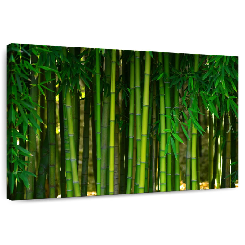 Alvord Real Bamboo, 26" H x 39" W