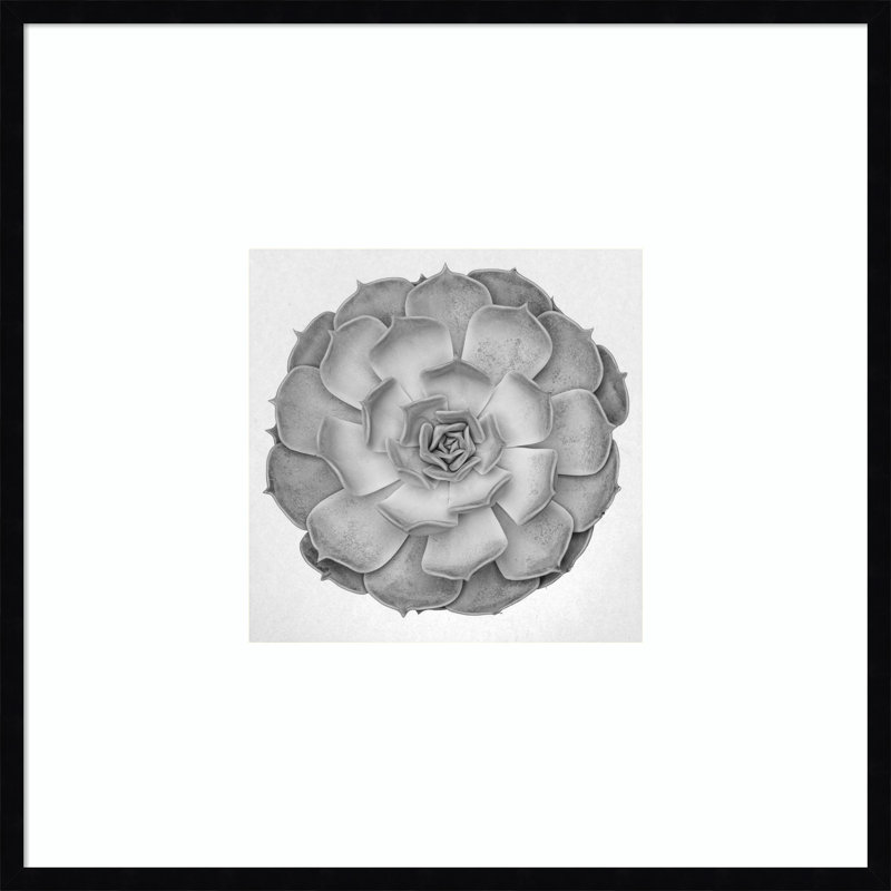«Succulent Graptoveria 005» par Pictufy Studio III, reproduction d'art encadrée sur bois, 31 x 31