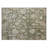 Machine Washable Indoor/Outdoor Chantille ACN2355 Traditional Rug-1763380442