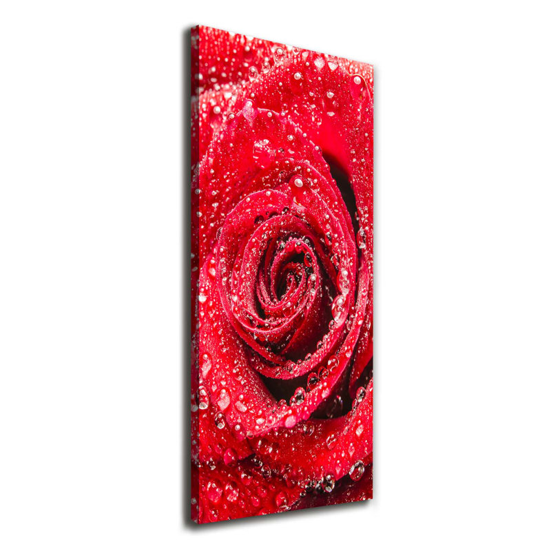 Red Rose - Wrapped Canvas Print