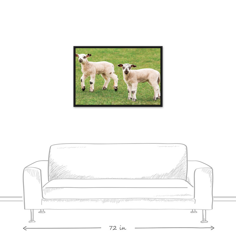Petits agneaux encadrés sur toile, H 13,75 po x l 37,75 po x P 1,75 po