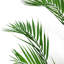 Faux Palm Tree-561748055