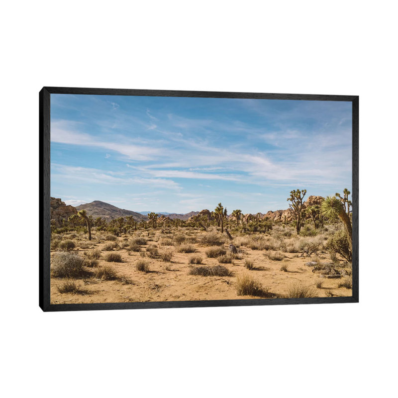 Joshua Tree National Park XXIV by Bethany Young - Print on Canvas, Black Framed, 101.6cm H x 152.4cm W x 3.81cm D