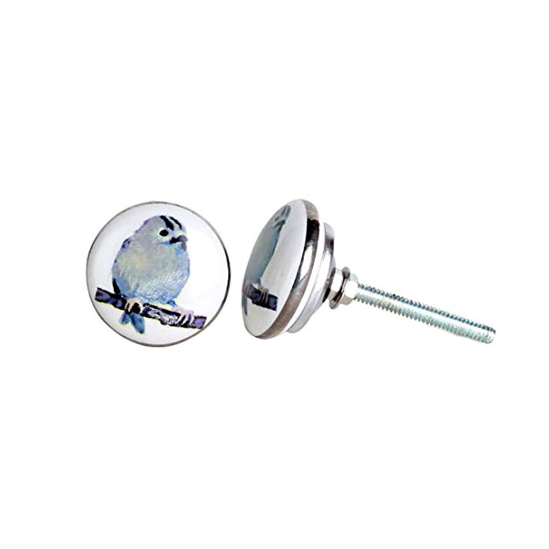Paquet de 1,5 po de champignon de 1,5 po de diamètre