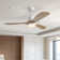 Nicola 52'' 3 - Blade Modern Ceiling Fan with Remote Control and Light Kit