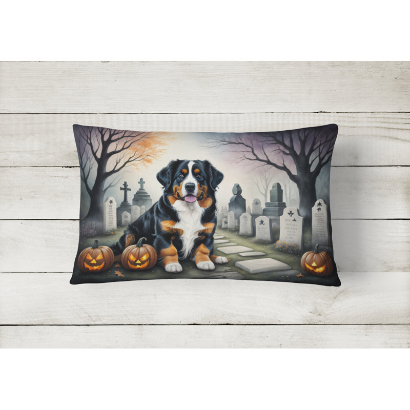 Other/No Pattern Outdoor Throw Pillow