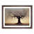 Walnut selected