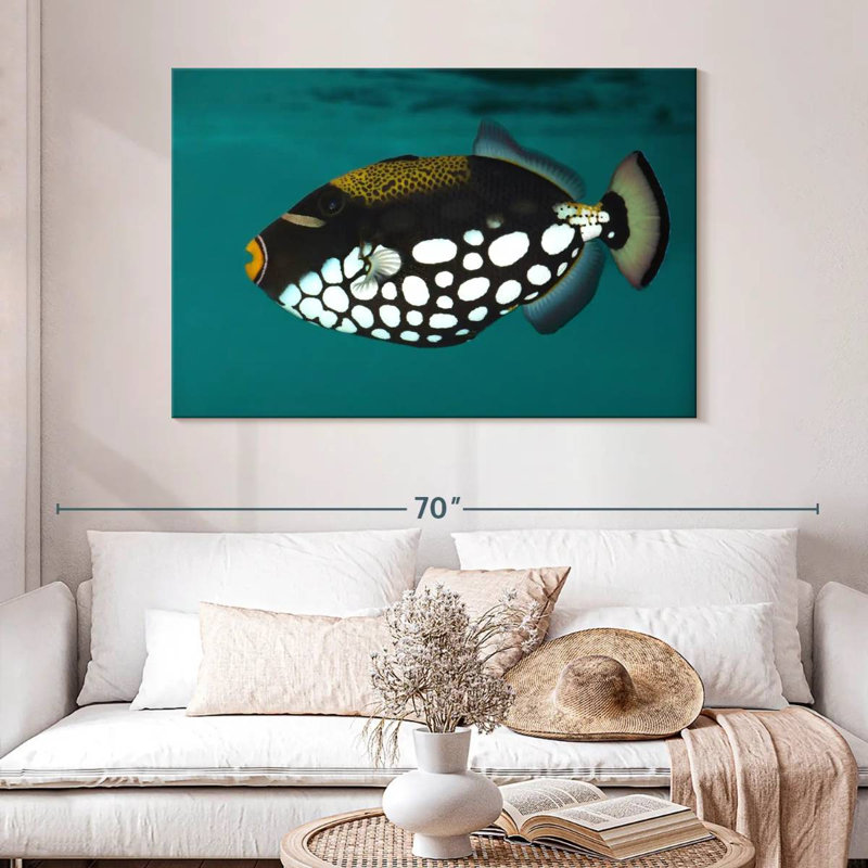 Clown Triggerfish Pet, 32" H x 48" W