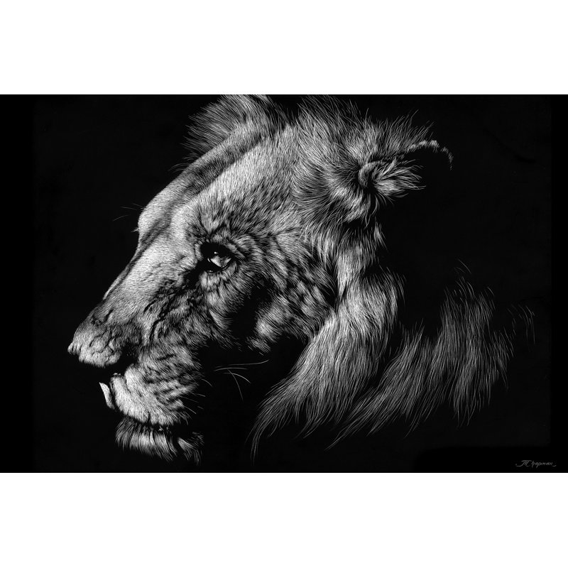 «Wildlife Scratchboard I», impression sur toile, H 32 po x l 48 po