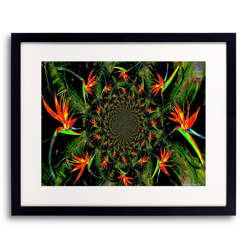 Bird Of Paradise Print by Leonard Askowitz