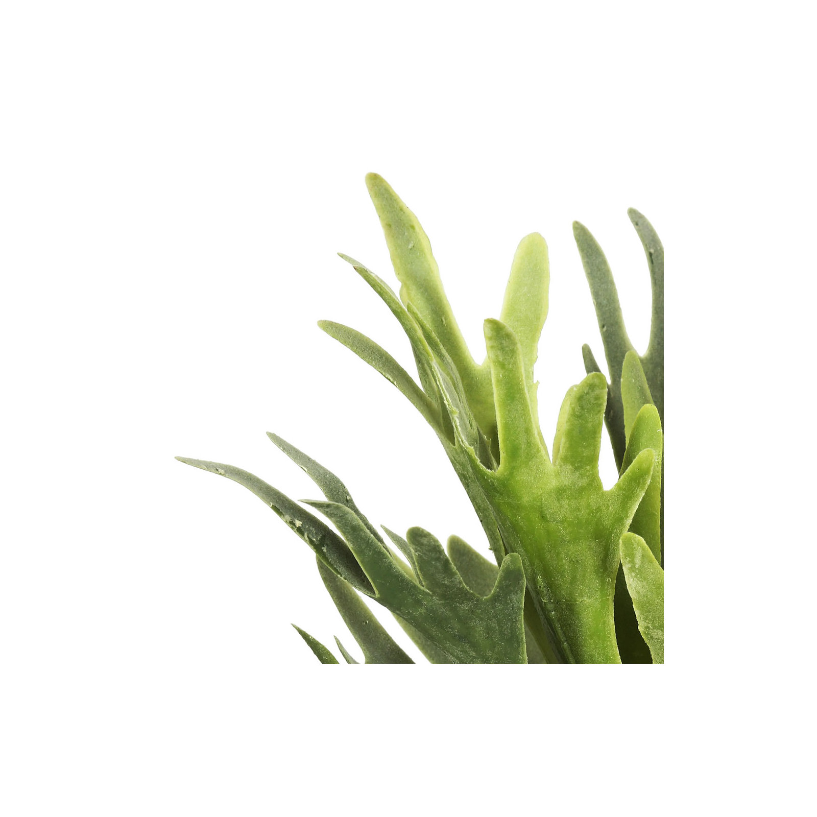 13'' Faux Fern Plant