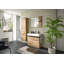 Zeno Rectangle Wall Mirror with Shelves