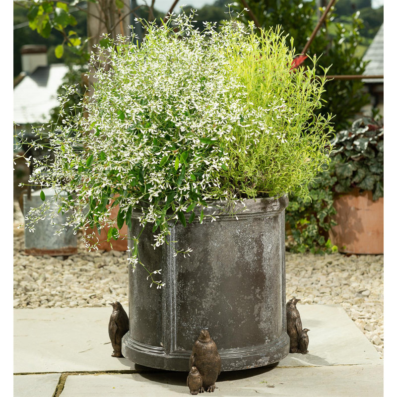 Caliegh Metal Planter Feet