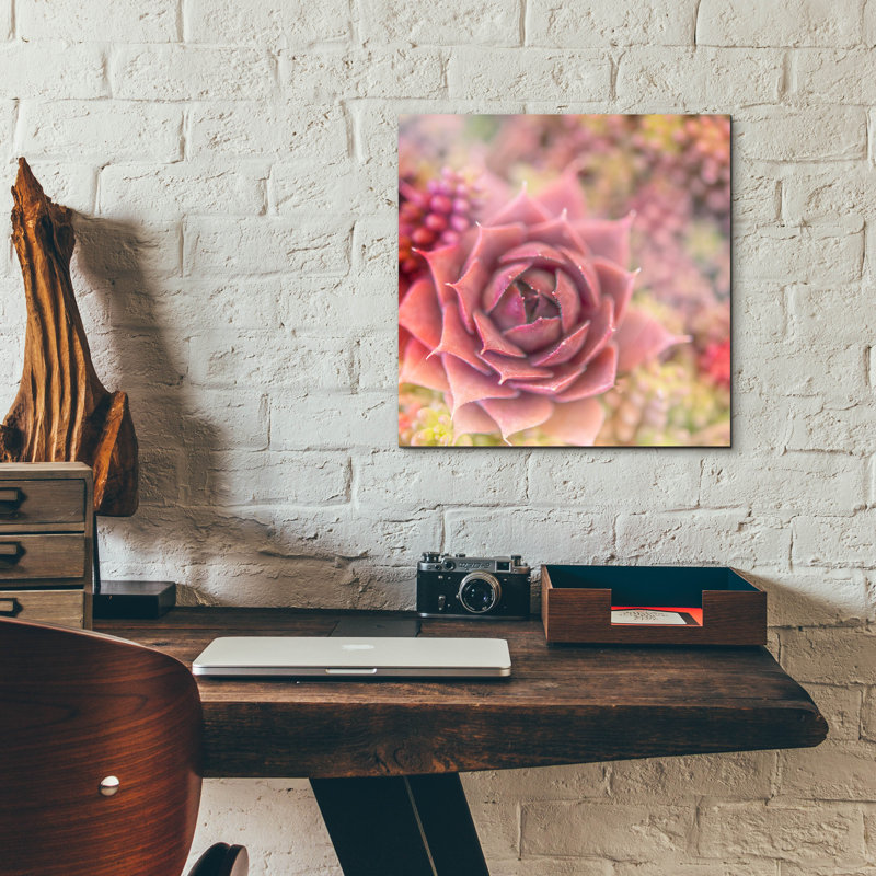 " Succulents 02 " by Lightbox Journal, 12" H x 12" W x 0.13" D