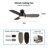 Gwan 44'' Flush Mount Ceiling Fan with Light-581862005