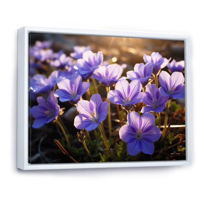 «Violets Field At Sunrise I», reproduction sur toile