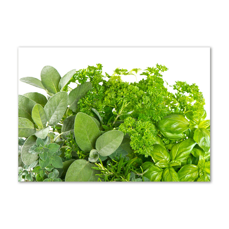 Herbs - No Frame Print on Canvas