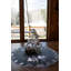 Plateau de table gris foncé Judeen Silver Reindeer (rond 23 po)