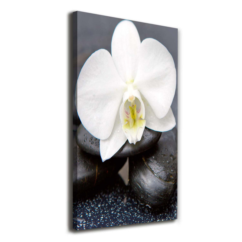 Orchid And Stones - Wrapped Canvas Print