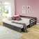 Fern Rock Twin to King Solid Wood Extendable Daybed with 2 Storage Drawers and Trundle Guest bed