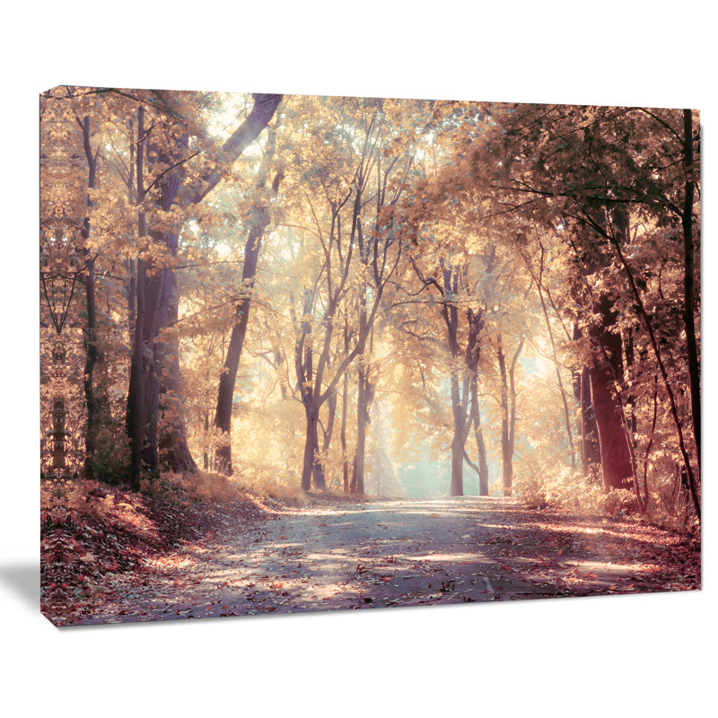 Paysage, forêt d'automne, photographie sur toile dorée - Forêt dorée, H 8 po x l 12 po x P 1 po