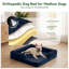 Canapé modulaire modulaire en velours écrasé avec repose-pieds pour lit de chien, sans assemblage, canapé en forme de L en nuage compressé avec coussins en mousse à double couche, bleu marine