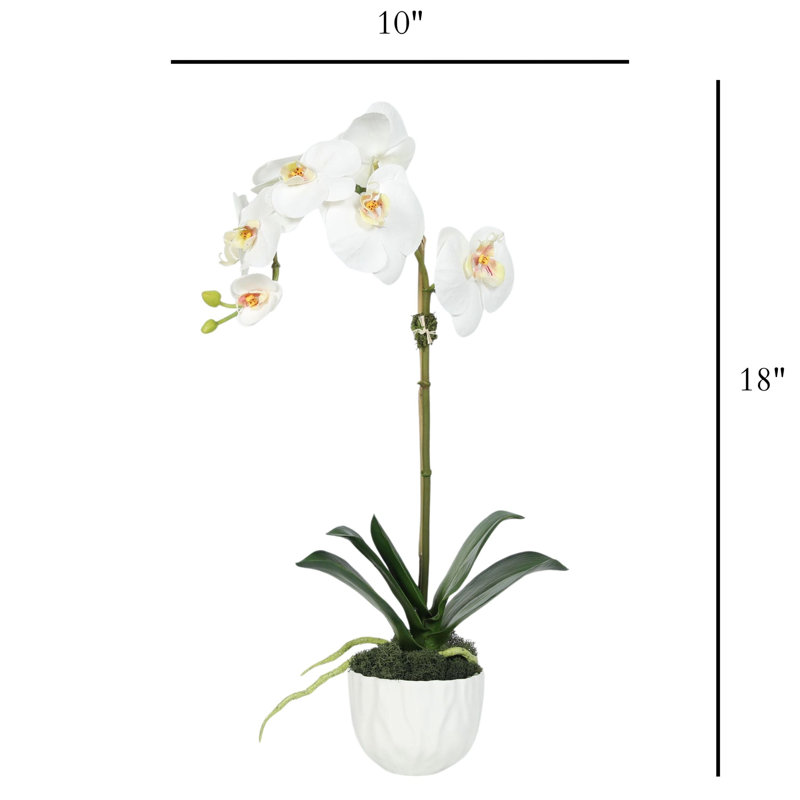 Faux orchidée dans un vase blanc, Blanc, Blanc