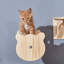Perchoir pour chat 7 po Minier