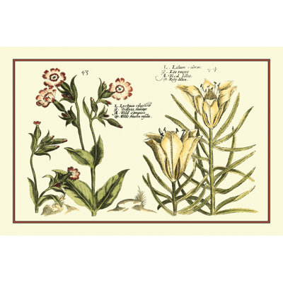 Garden Botanica III 1 Piece Wrapped Canvas Wall Art