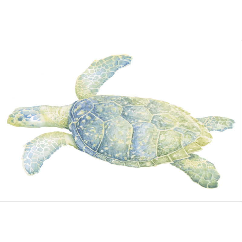 Tortue de mer tranquille II, H 20 po x l 30 po x P 1,25 po