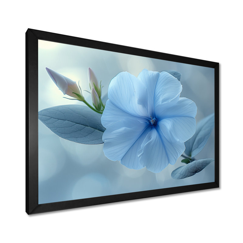 Bleu cristal, gloire du matin, fleurs, photo III - gloire du matin, décoration murale, H 12 po x l 20 po, Cadre simple noir