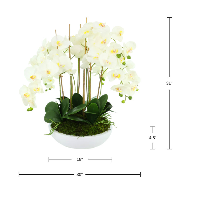 Orchid Arrangement in Round Fiberstone Pot, 31" H x 30" W x 30" D