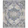 Chenault Performance Oriental Rug