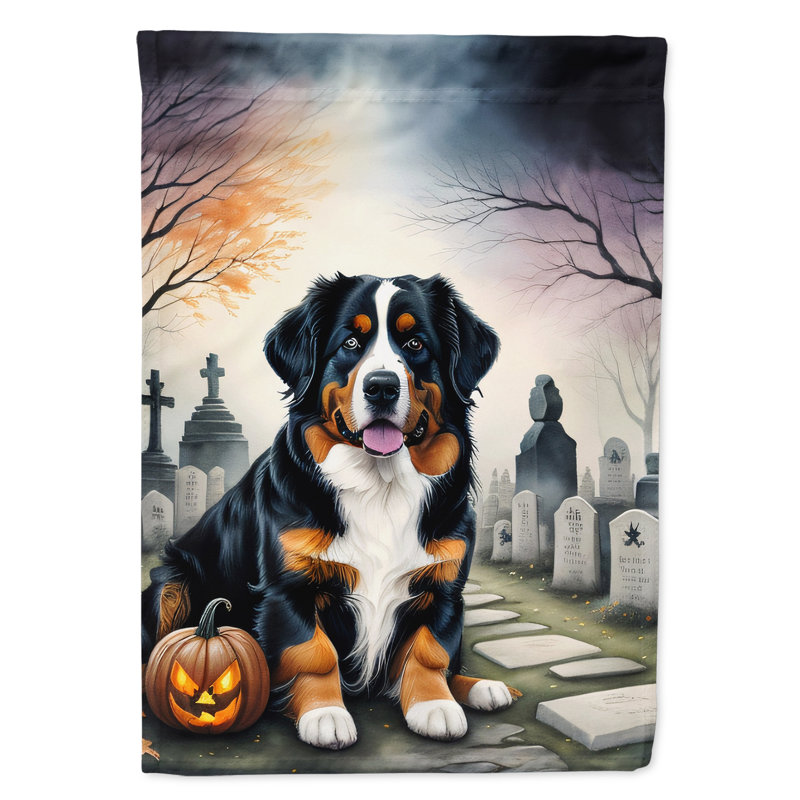Double Sided 40'' H x 28'' W Polyester Halloween House Flag
