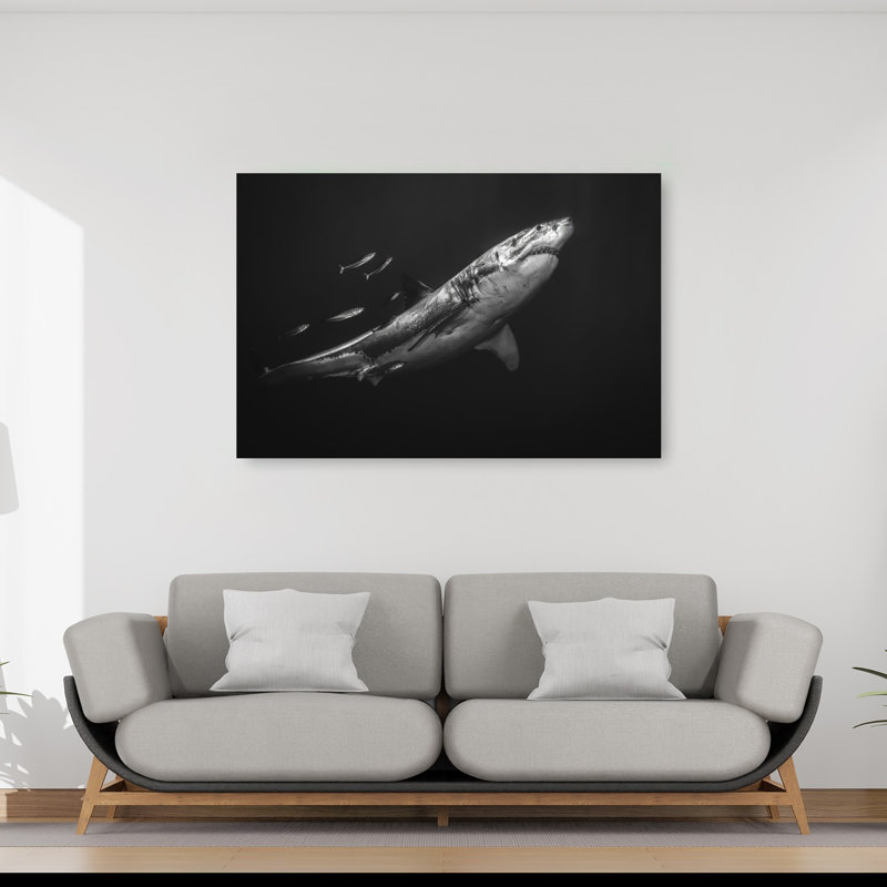 Grand requin blanc, prédateur contemporain, affiche murale représentant la nature et l'océan, 40" H x 60" W